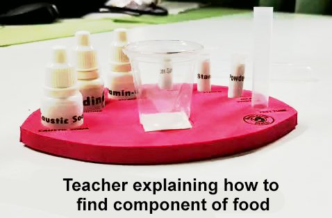 Components of Food Moment