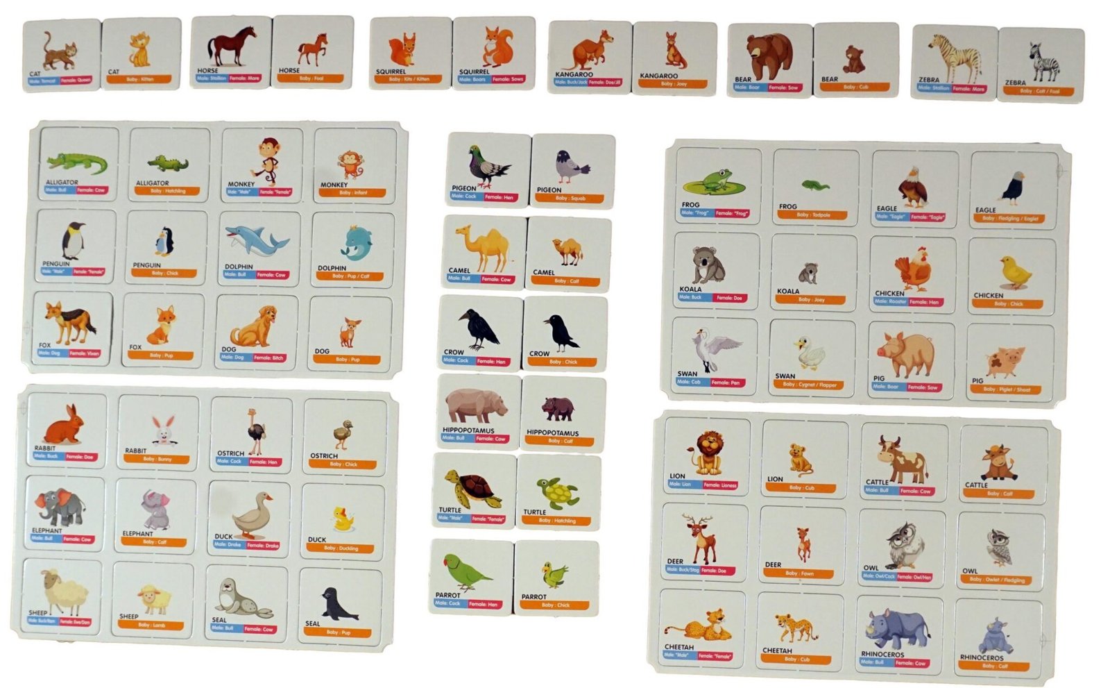 Animal babies scaled 1