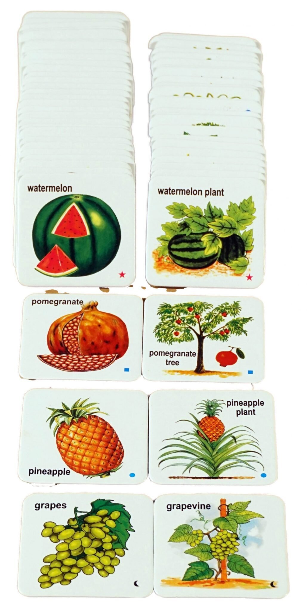 Fruits their Trees scaled 1