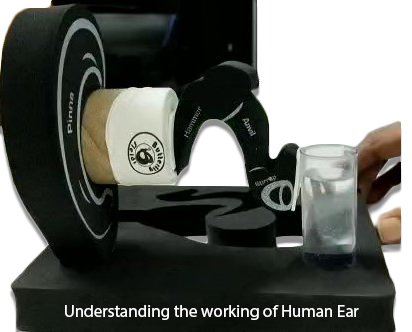 Understanding the working of Human Ear