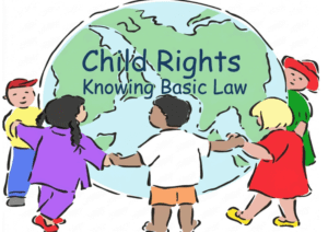 Basic Law Knowledge