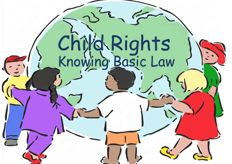 Basic Law Knowledge